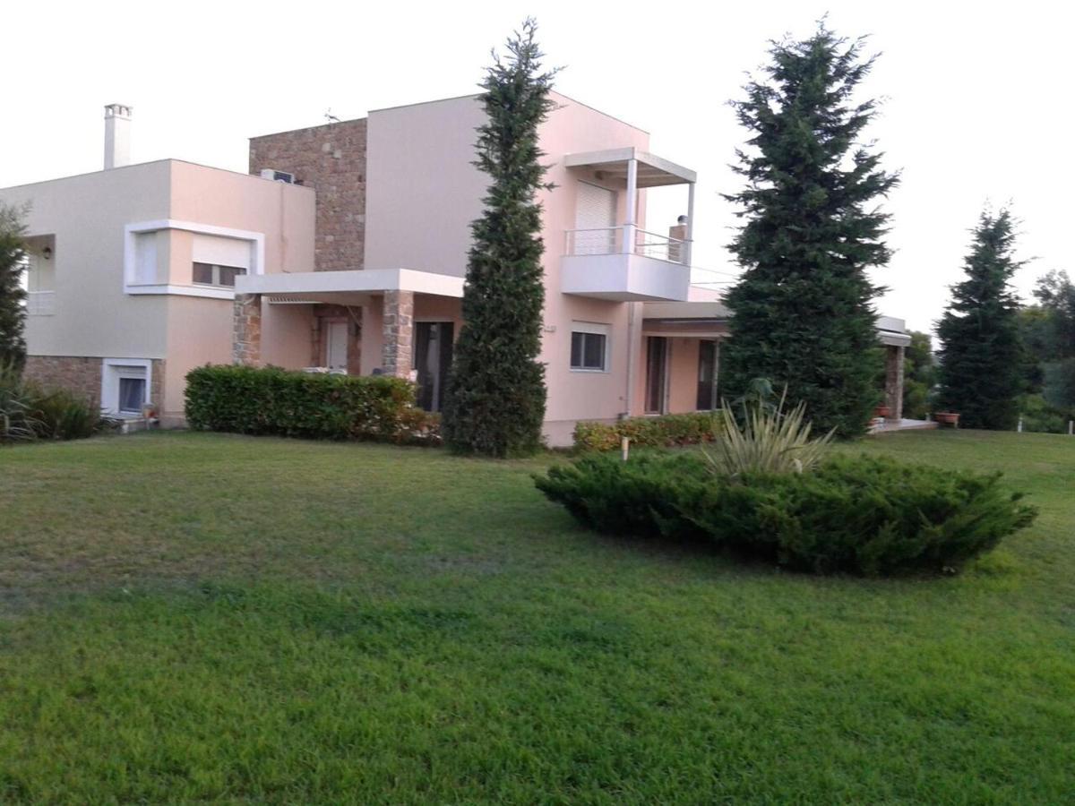 Villa Achilleos Ποσείδι Εξωτερικό φωτογραφία