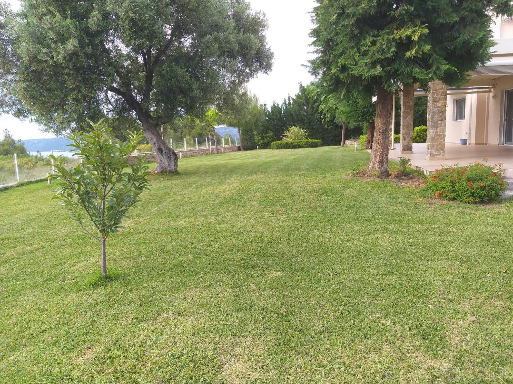 Villa Achilleos Ποσείδι Δωμάτιο φωτογραφία
